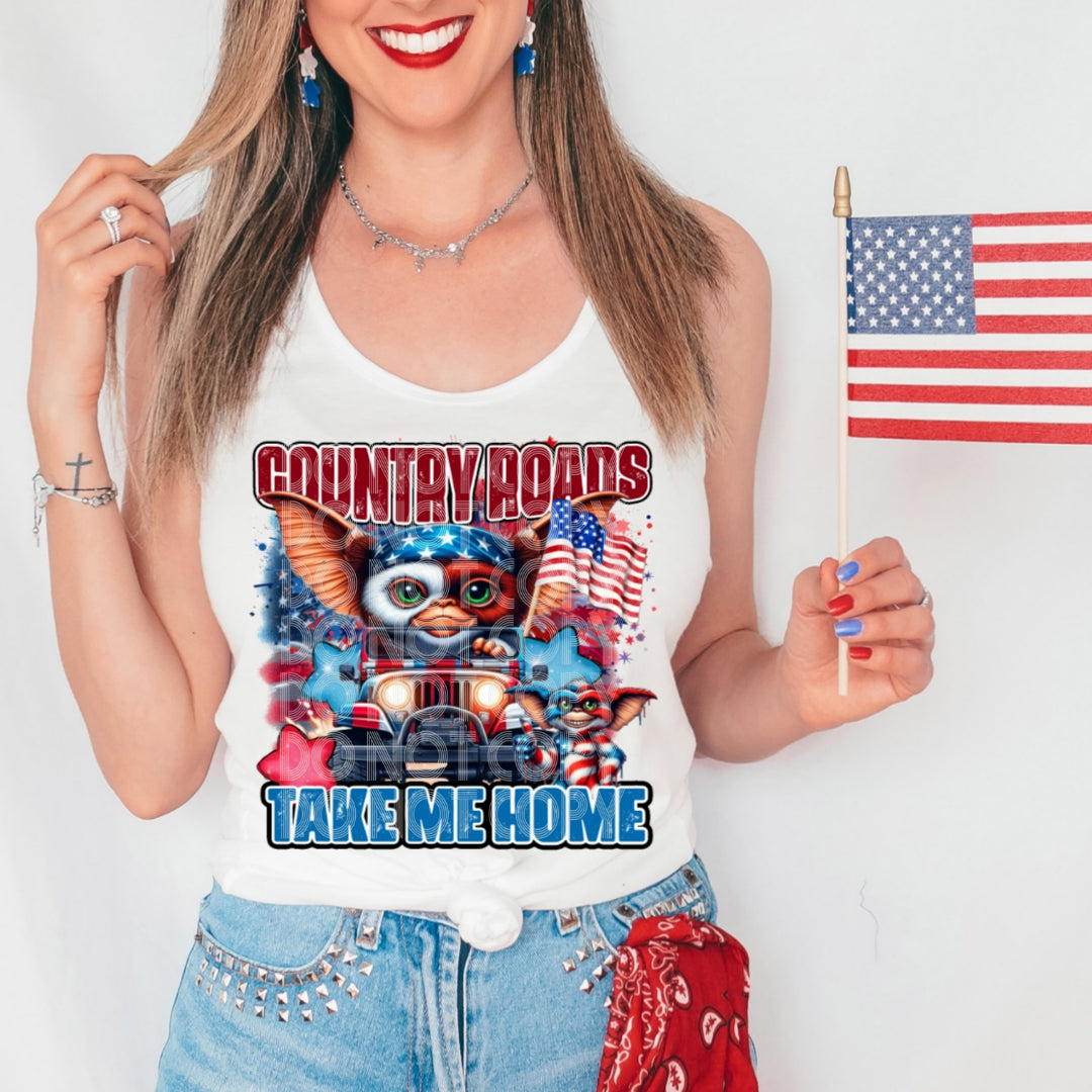COUNTRY ROADS TEE