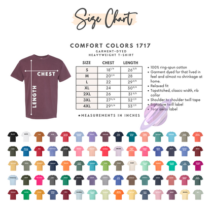 BERRY SUNDAE-COMFORT COLORS SET SEPERATRES-PREORDER CLOSING 6/6